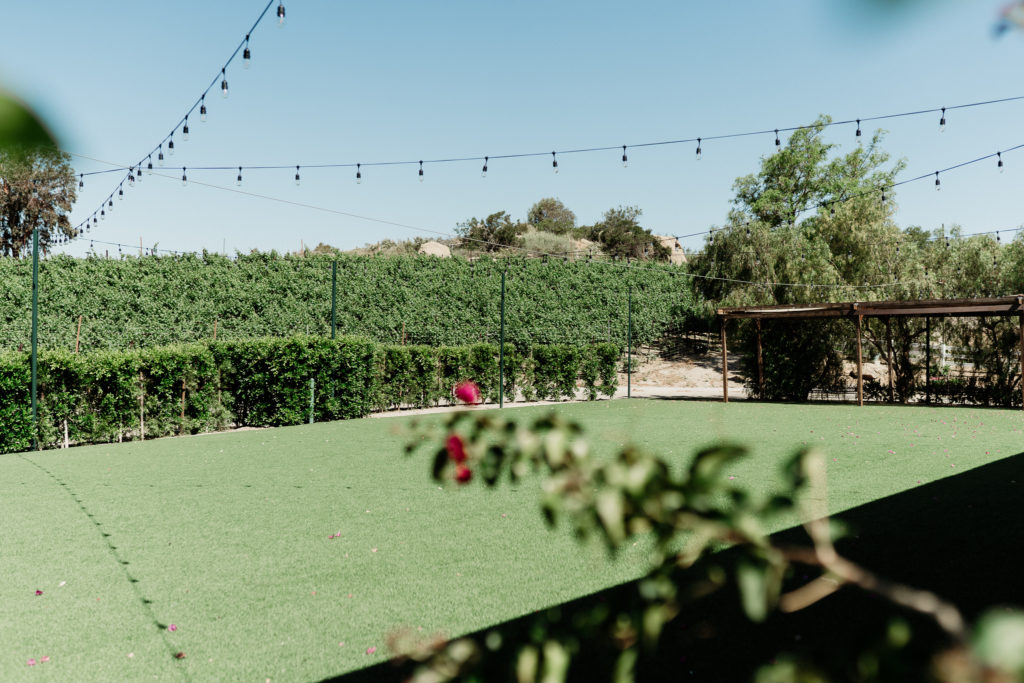 outdoor wedding reception space under string lights at q vineyard at hummingbird nest ranch