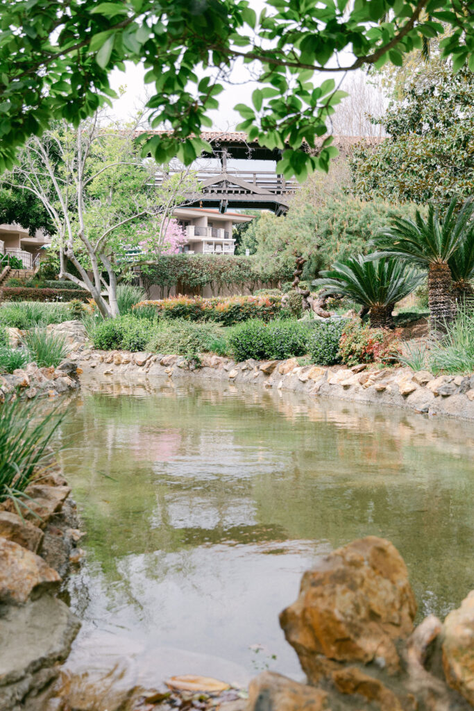 the japanese garden at the langham huntington hotel in pasadena